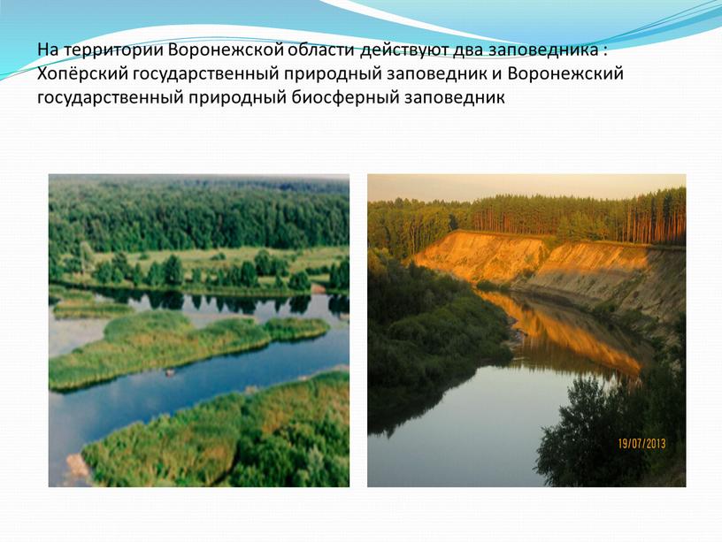 На территории Воронежской области действуют два заповедника :