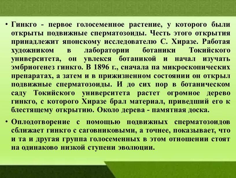 Гинкго - первое голосеменное растение, у которого были открыты подвижные сперматозоиды