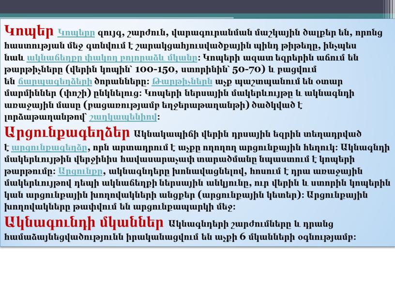 Կոպեր Կոպերը զույգ, շարժուն, վարագուրանման մաշկային ծալքեր են, որոնց հաստության մեջ գտնվում է շարակցահյուսվածքային պինդ թիթեղը, ինչպես նաև ակնաճեղքը փակող բոլորաձև մկանը։ Կոպերի ազատ եզրերին…