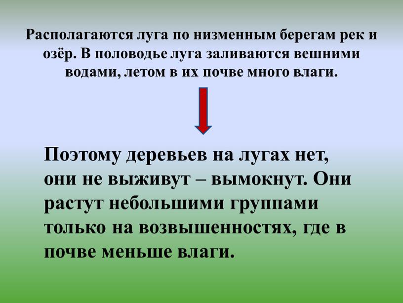 Располагаются луга по низменным берегам рек и озёр