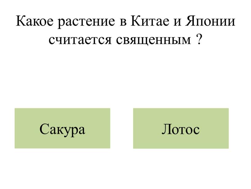 Какое растение в Китае и Японии считается священным ?