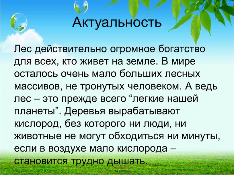 Актуальность Лес действительно огромное богатство для всех, кто живет на земле