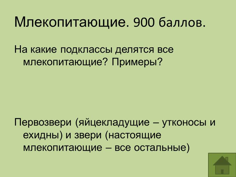 Млекопитающие. 900 баллов. На какие подклассы делятся все млекопитающие?