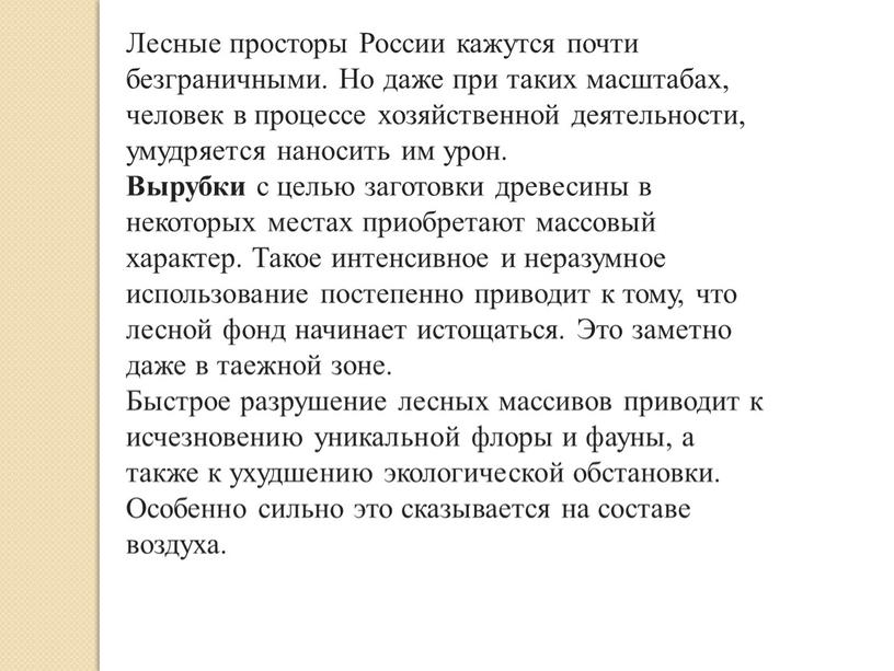 Лесные просторы России кажутся почти безграничными