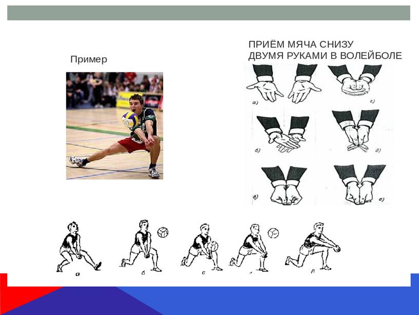 Презентация. Волейбол нижняя подача