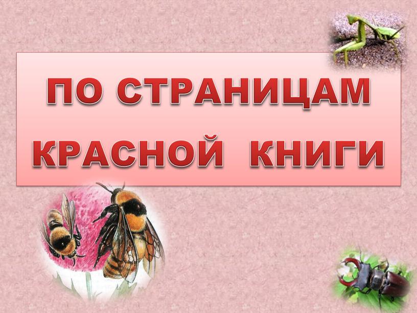 ПО СТРАНИЦАМ КРАСНОЙ КНИГИ