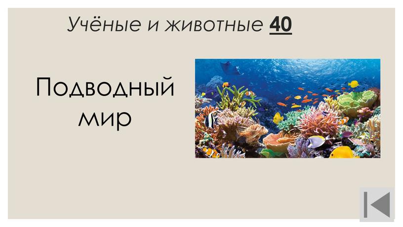 Учёные и животные 40 Подводный мир