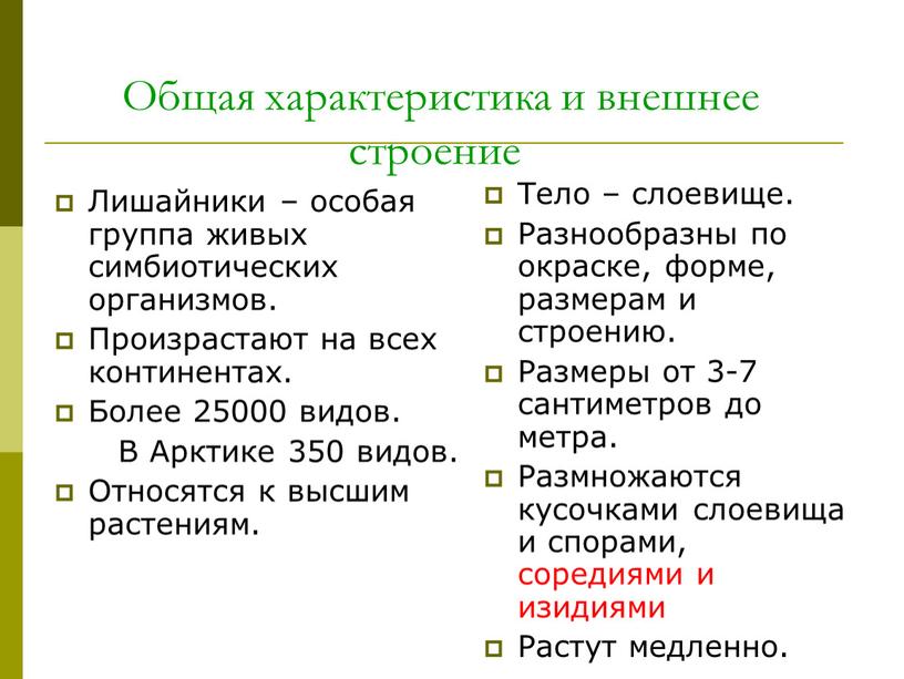 Общая характеристика и внешнее строение