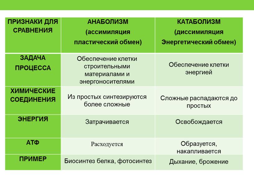 ПРИЗНАКИ ДЛЯ СРАВНЕНИЯ АНАБОЛИЗМ (ассимиляция пластический обмен)