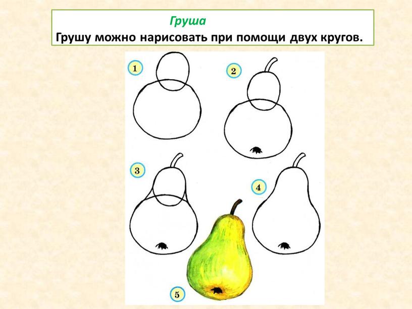 Груша Грушу можно нарисовать при помощи двух кругов