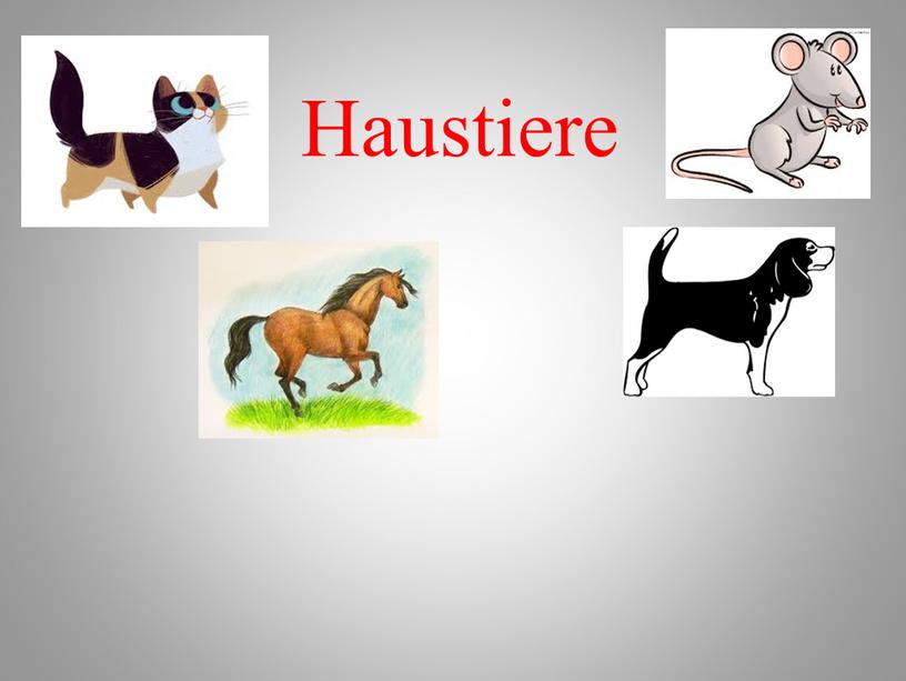 Haustiere