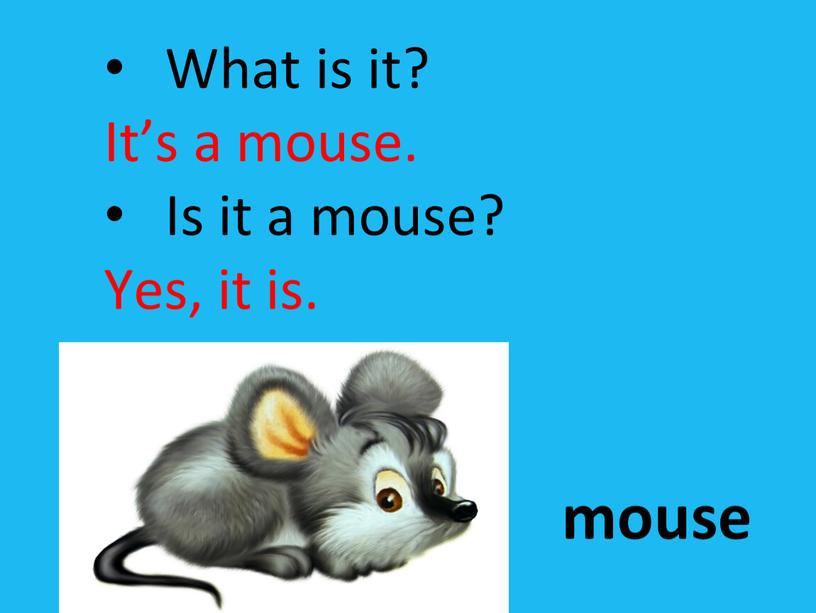 What is it? It’s a mouse. Is it a mouse?