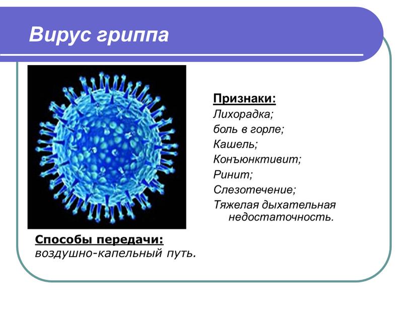 Вирус гриппа Признаки: Лихорадка; боль в горле;