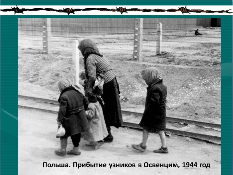 Польша. Прибытие узников в Освенцим, 1944 год