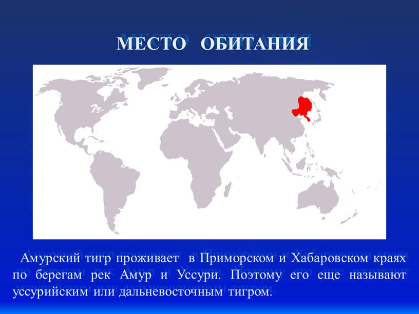 МЕСТО ОБИТАНИЯ Амурский тигр проживает в