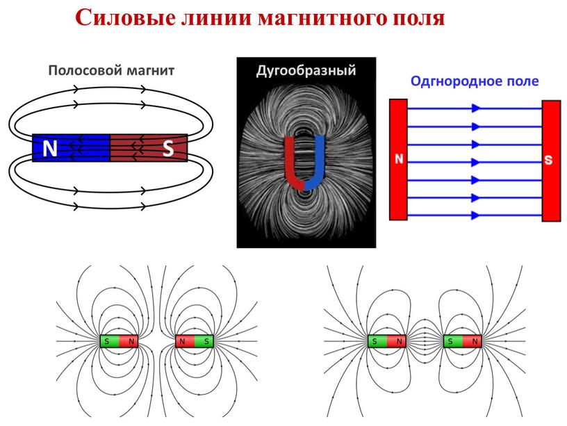 На рисунке указано положение магнитных линий поля