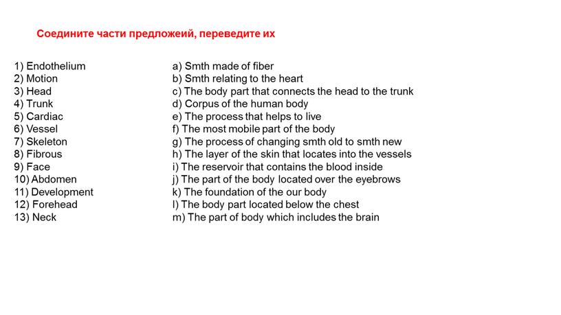 Endothelium 2) Motion 3) Head 4)