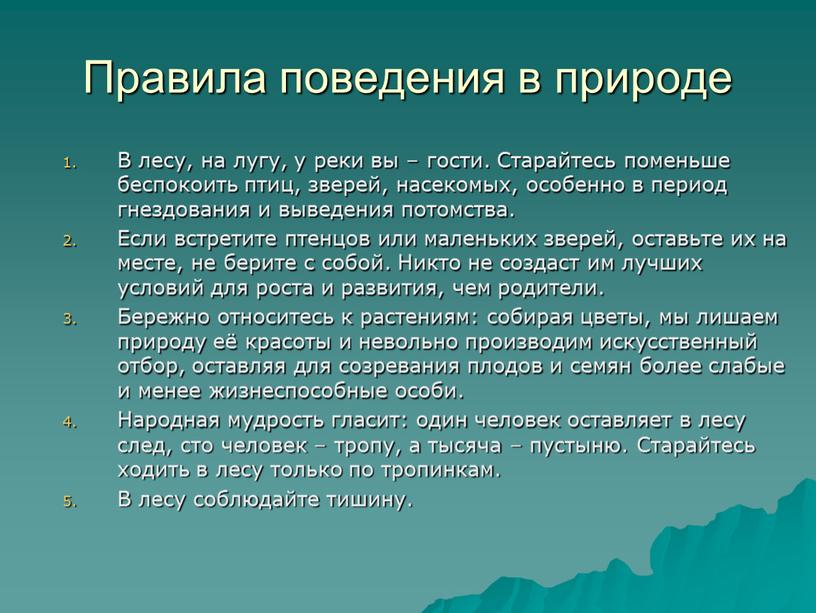 Правила поведения в природе В лесу, на лугу, у реки вы – гости