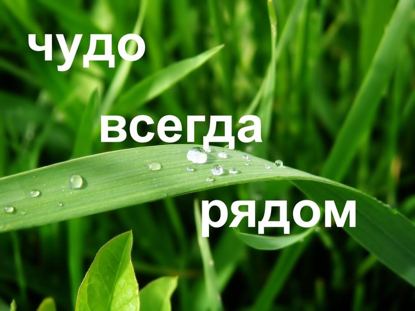 чудо рядом всегда