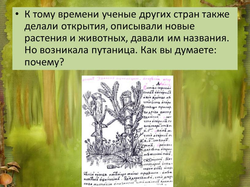 К тому времени ученые других стран также делали открытия, описывали новые растения и животных, давали им названия