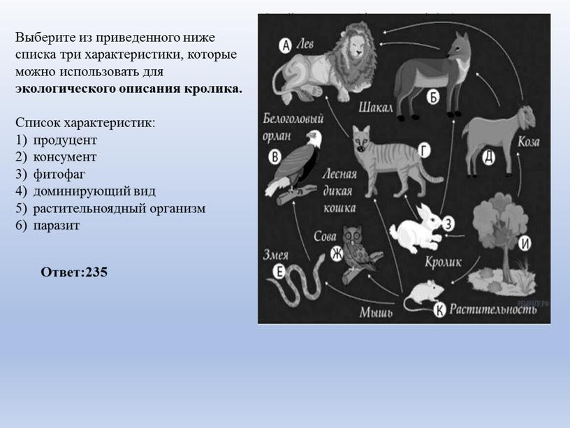 Выберите из приведенного ниже списка три характеристики, которые можно использовать для экологического описания кролика