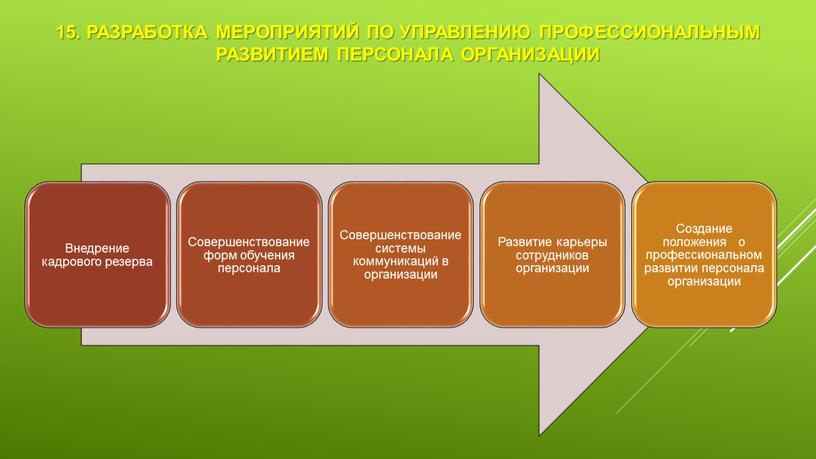 Разработка мероприятий по управлению профессиональным развитием персонала организации