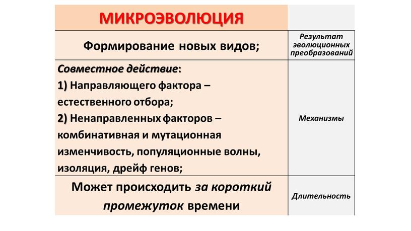 МИКРОЭВОЛЮЦИЯ Формирование новых видов;