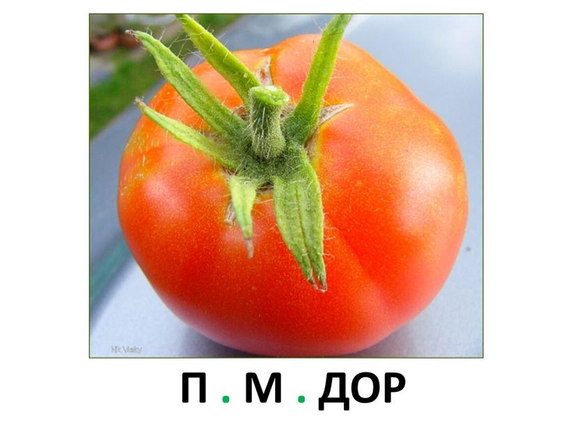 П . М . ДОР