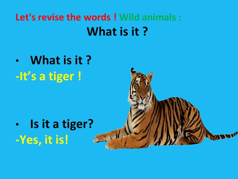 Let's revise the words ! Wild animals :