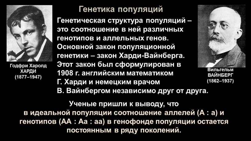 Генетика популяций Генетическая структура популяций – это соотношение в ней различных генотипов и аллельных генов