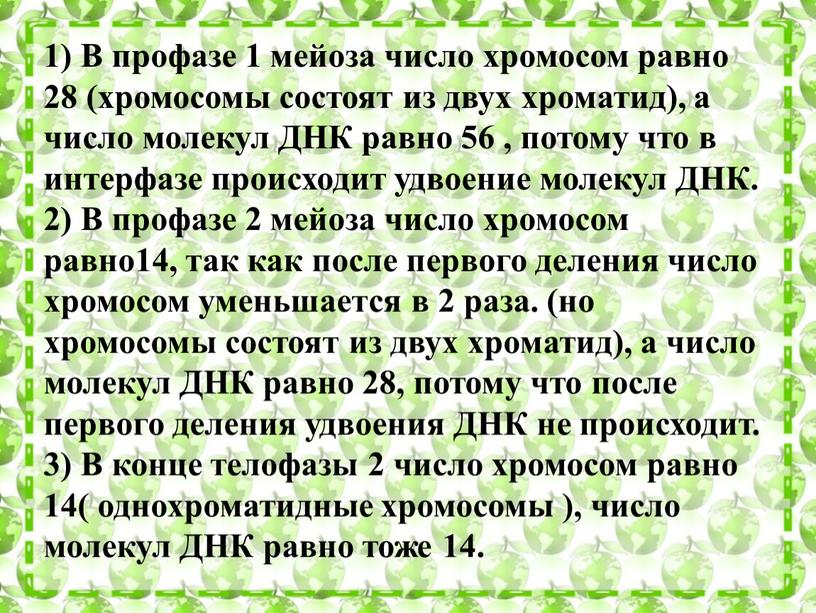 В профазе 1 мейоза число хромосом равно 28 (хромосомы состоят из двух хроматид), а число молекул