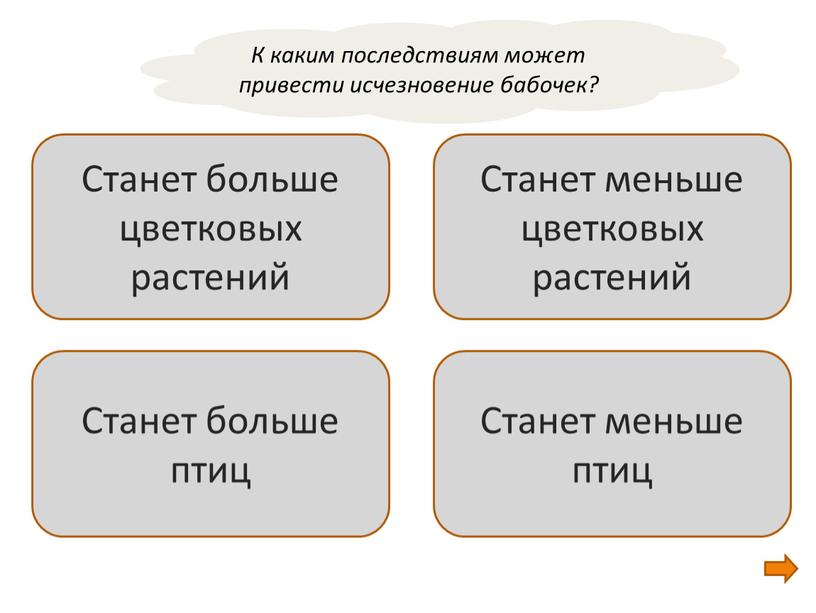 Станет больше цветковых растений