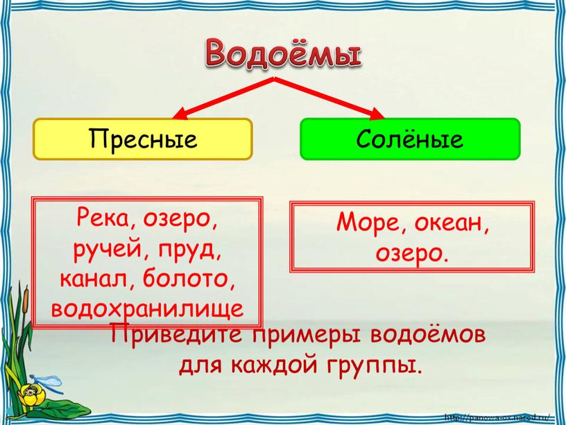 Водоёмы Приведите примеры водоёмов для каждой группы