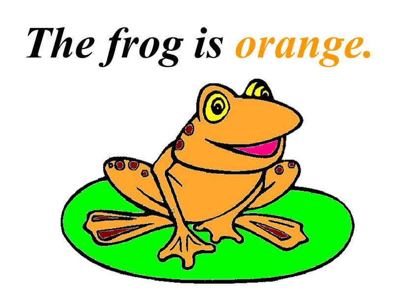 The frog is orange.