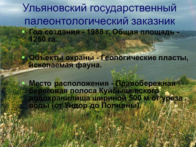 Ульяновский государственный палеонтологический заказник