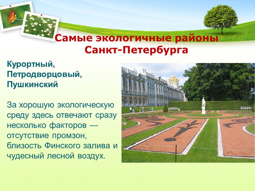 Самые экологичные районы Санкт-Петербурга