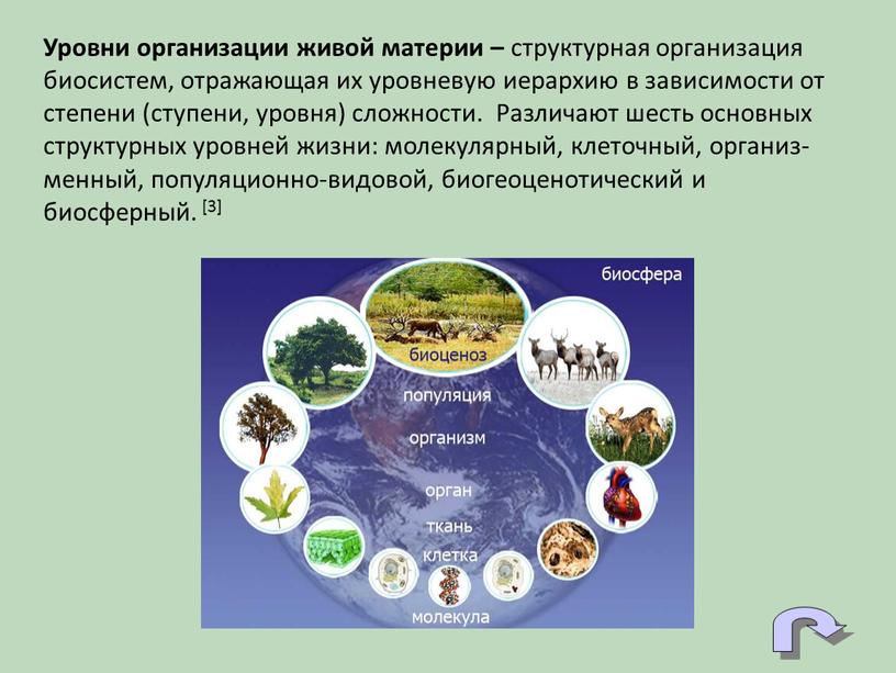 Уровни организации живой материи – структурная организация биосистем, отражающая их уровневую иерархию в зависимости от степени (ступени, уровня) сложности