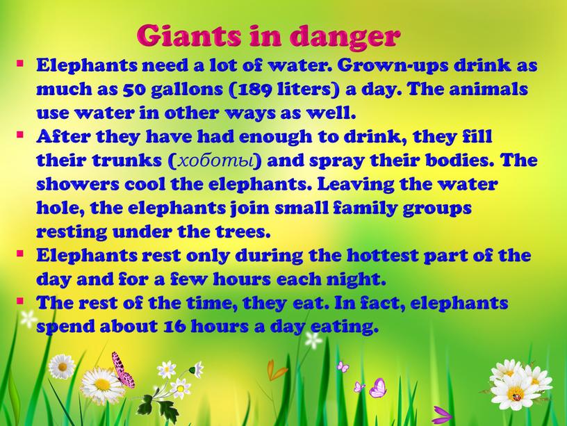 Elephants need a lot of water.