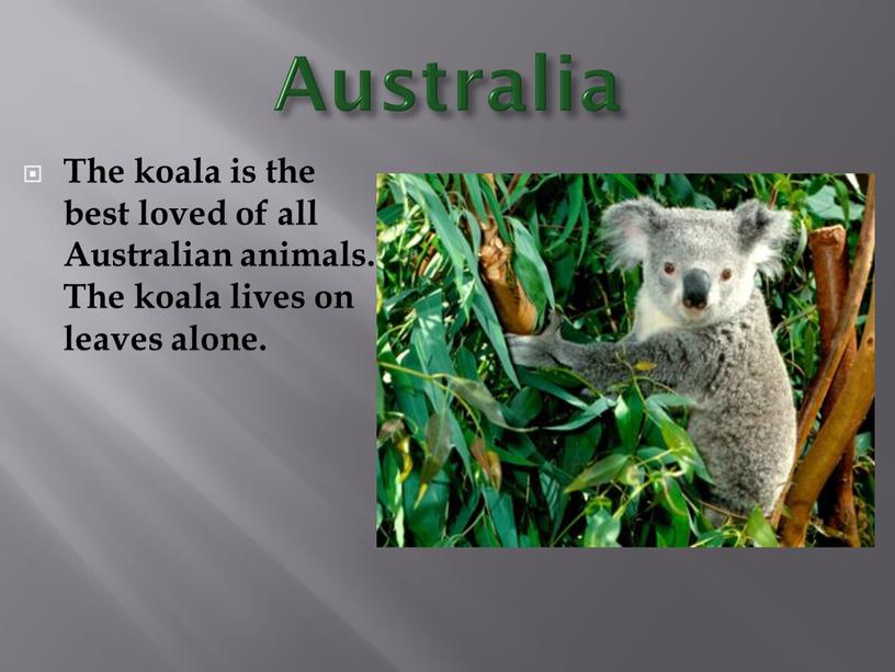 Australia The koala is the best loved of all