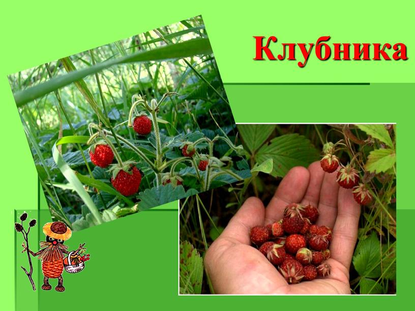 Клубника