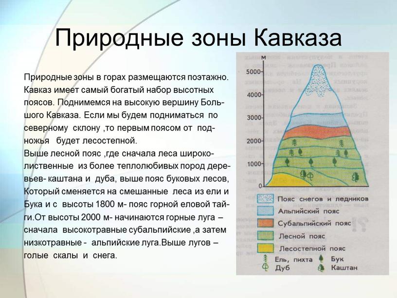 Природные зоны Кавказа Природные зоны в горах размещаются поэтажно