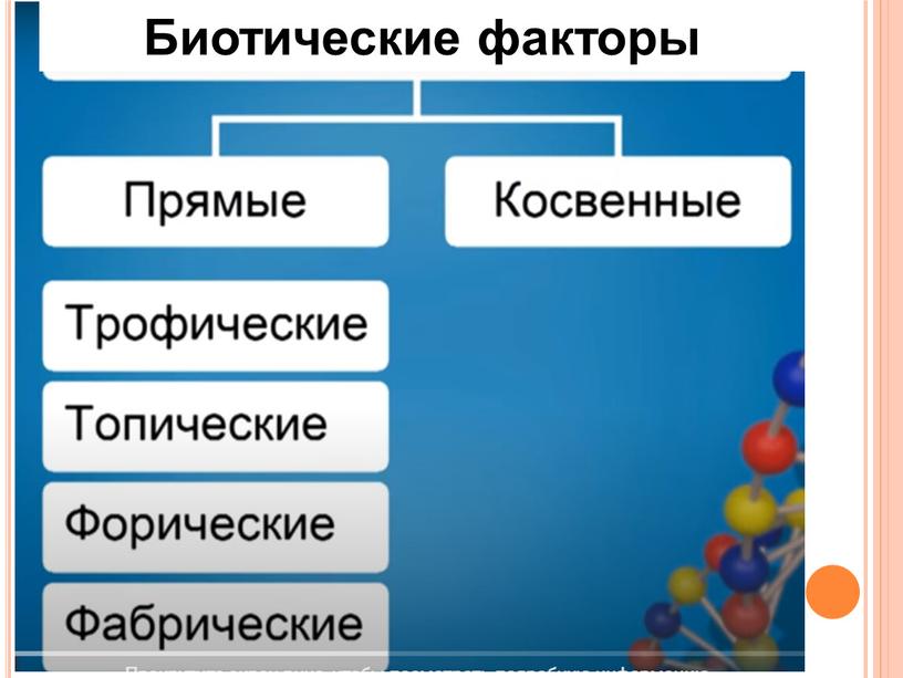 Биотические факторы