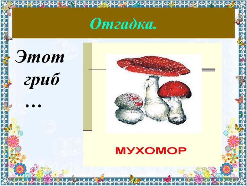 Отгадка. Этот гриб…