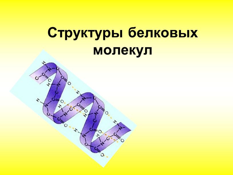 Структуры белковых молекул