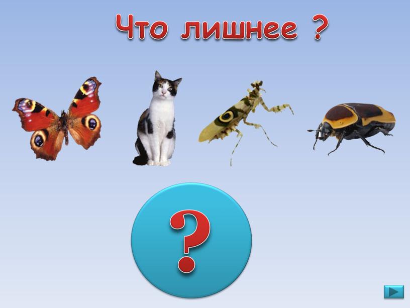 Что лишнее ? ?