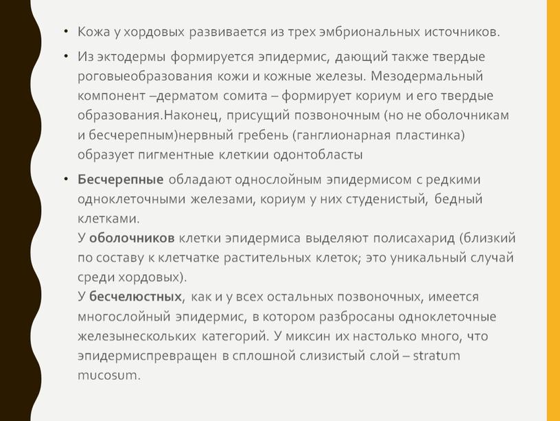 Кожа у хордовых развивается из трех эмбриональных источников