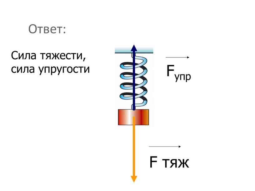 Ответ: Fупр F тяж Сила тяжести, сила упругости