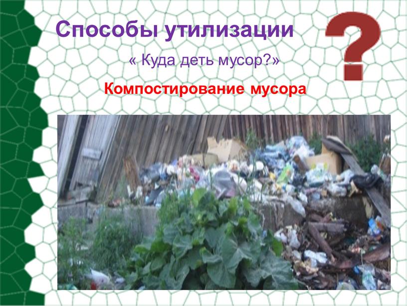 Способы утилизации « Куда деть мусор?»