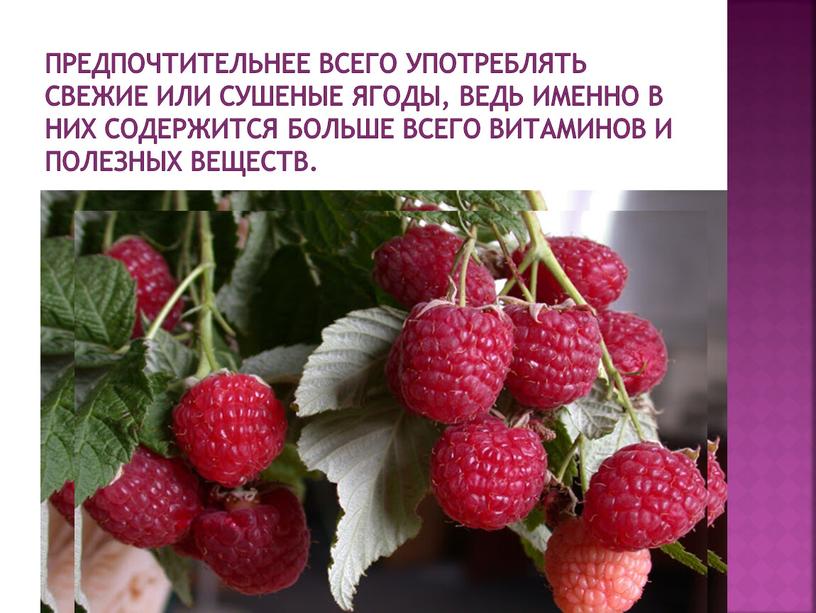 Предпочтительнее всего употреблять свежие или сушеные ягоды, ведь именно в них содержится больше всего витаминов и полезных веществ
