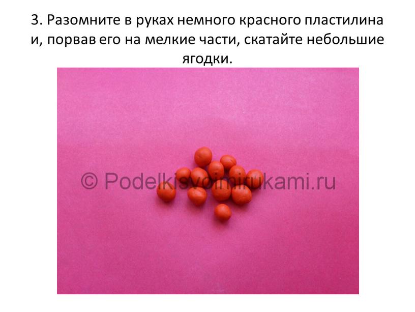 Разомните в руках немного красного пластилина и, порвав его на мелкие части, скатайте небольшие ягодки